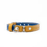 Showcasing the third look of our blue and tan reversible leather cat collar with a buckle. One side is blue and the other tan.
